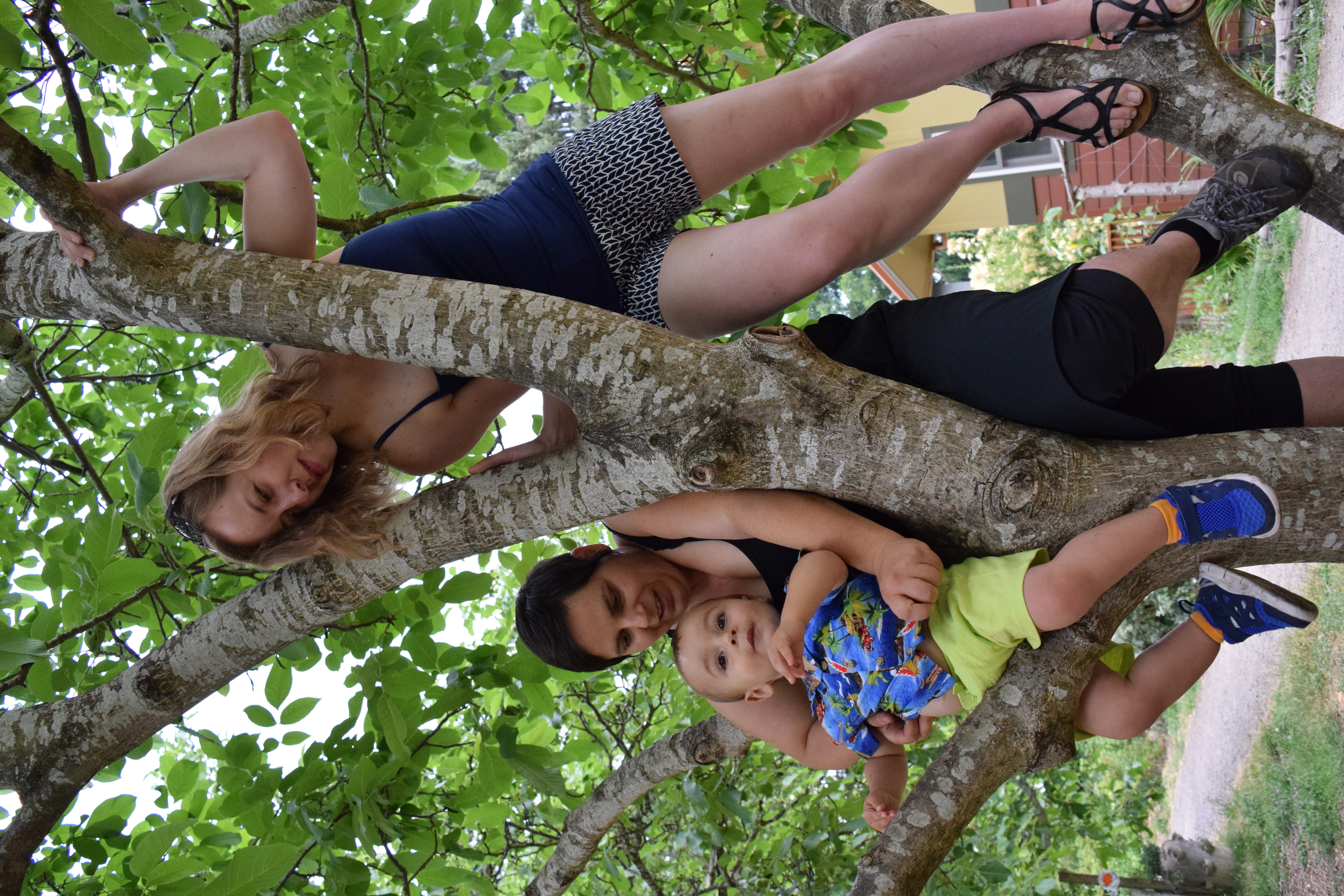 Alyssa Hursh climbing a tree with her friends Gillian and Adrian